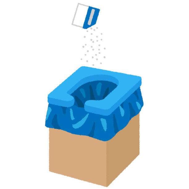 Best Local porta potty services  in Kent, WA
